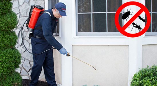 Gelendost Hamam Böceği İlaçlama böcek ilaçlama ve haşere kontrolü — ilaclama-tr.com
